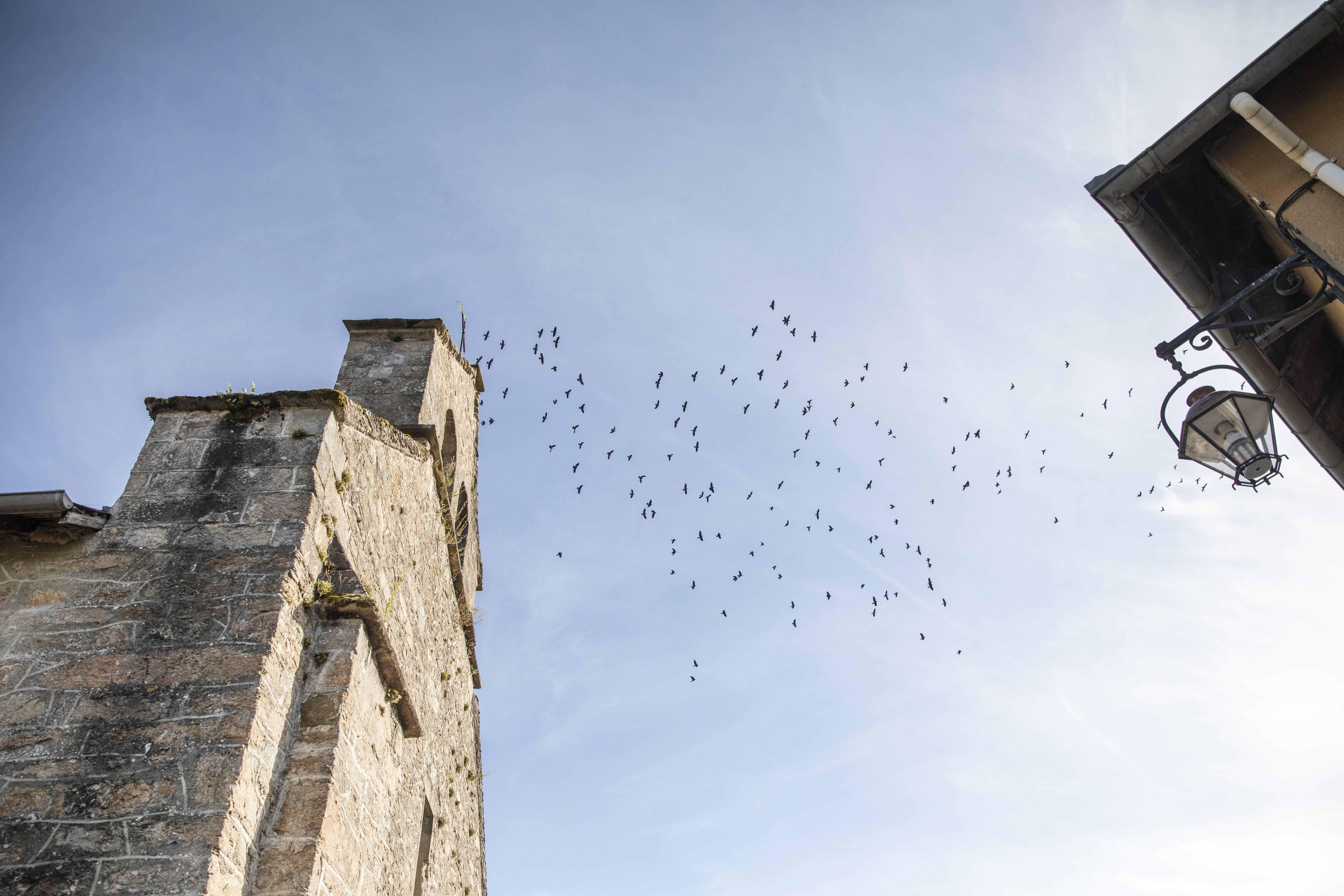 Visite commentée de Château-Chervix, Château-Chervix - photo 8