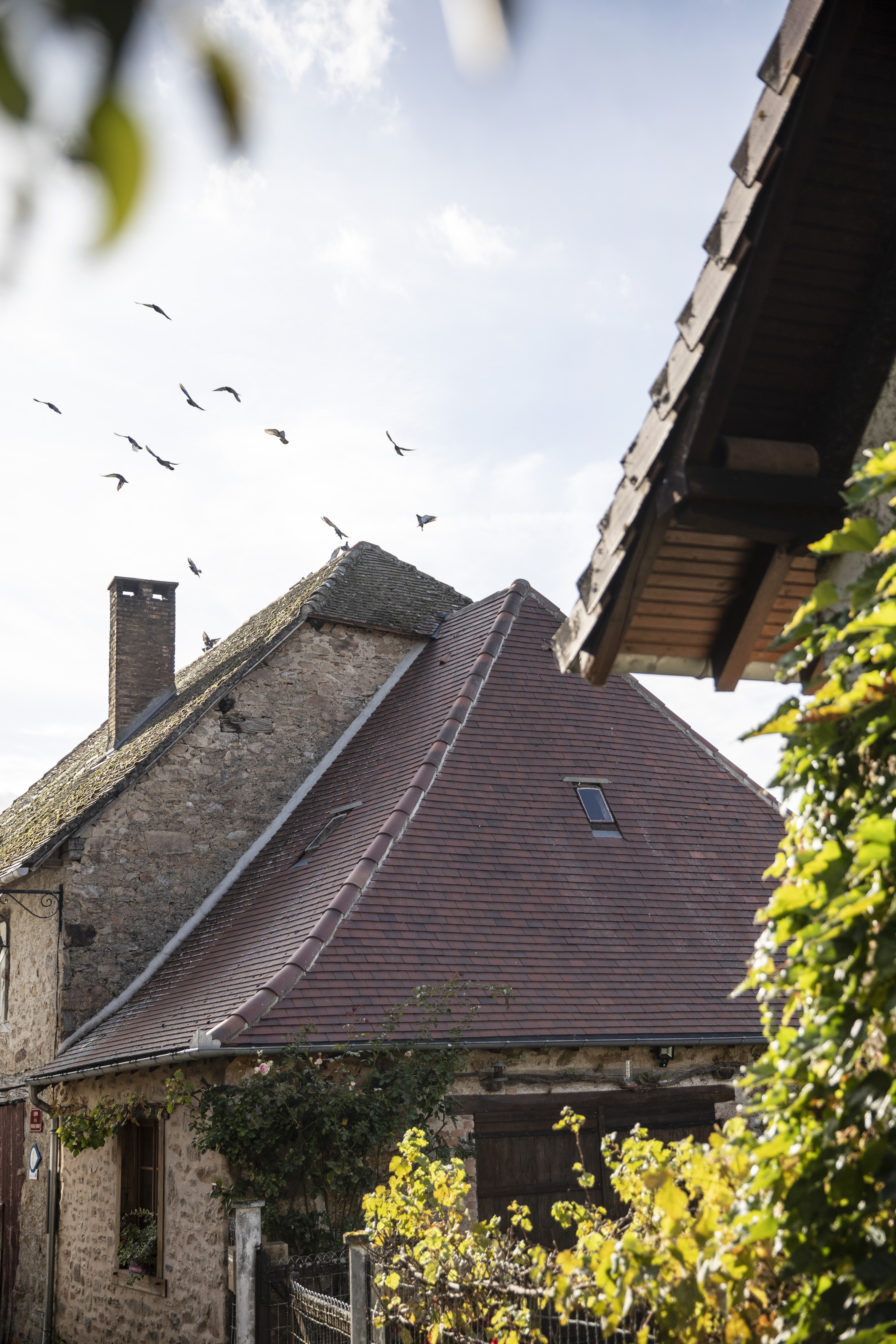 Visite commentée de Château-Chervix, Château-Chervix - photo 2