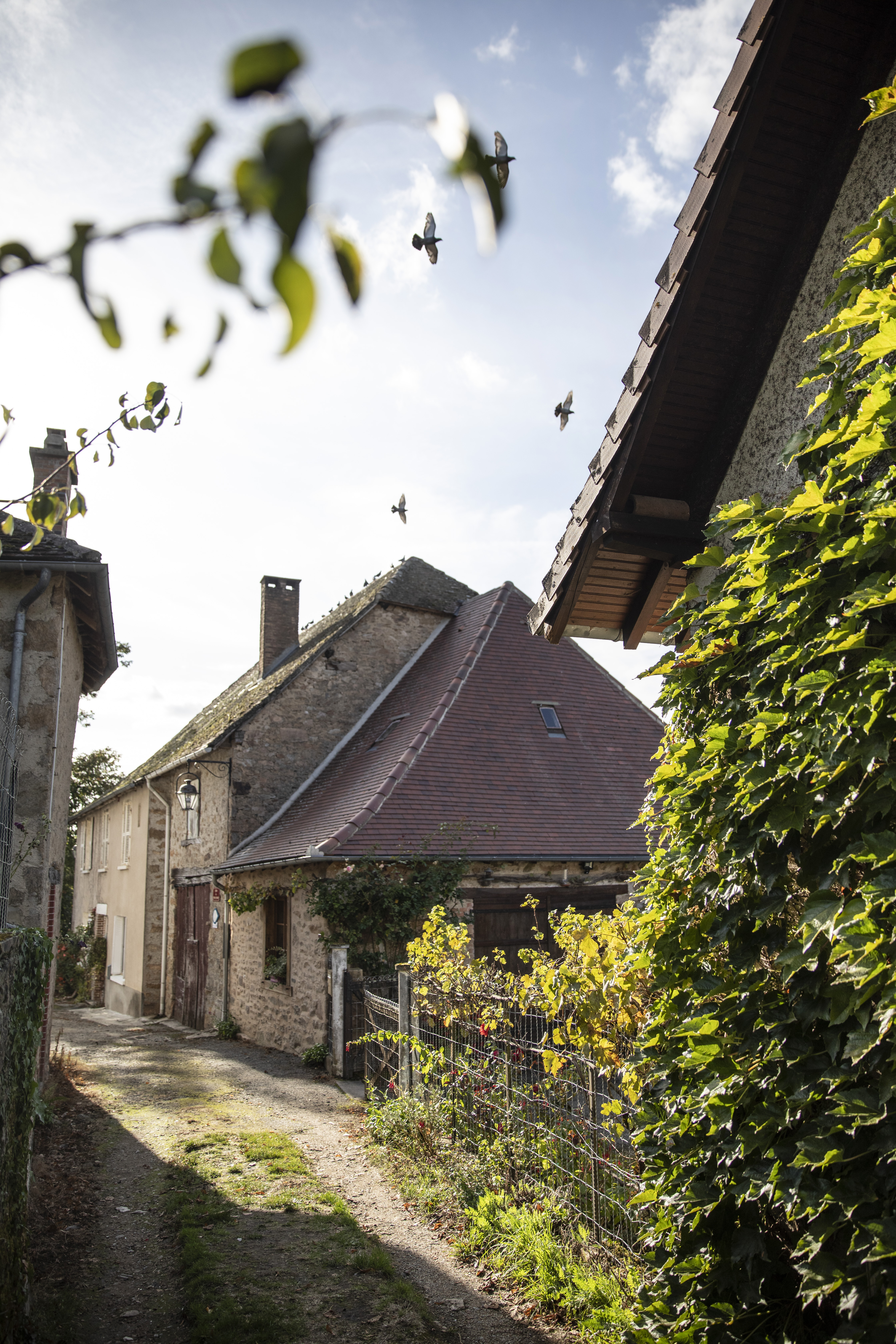 Visite commentée de Château-Chervix, Château-Chervix - photo 4