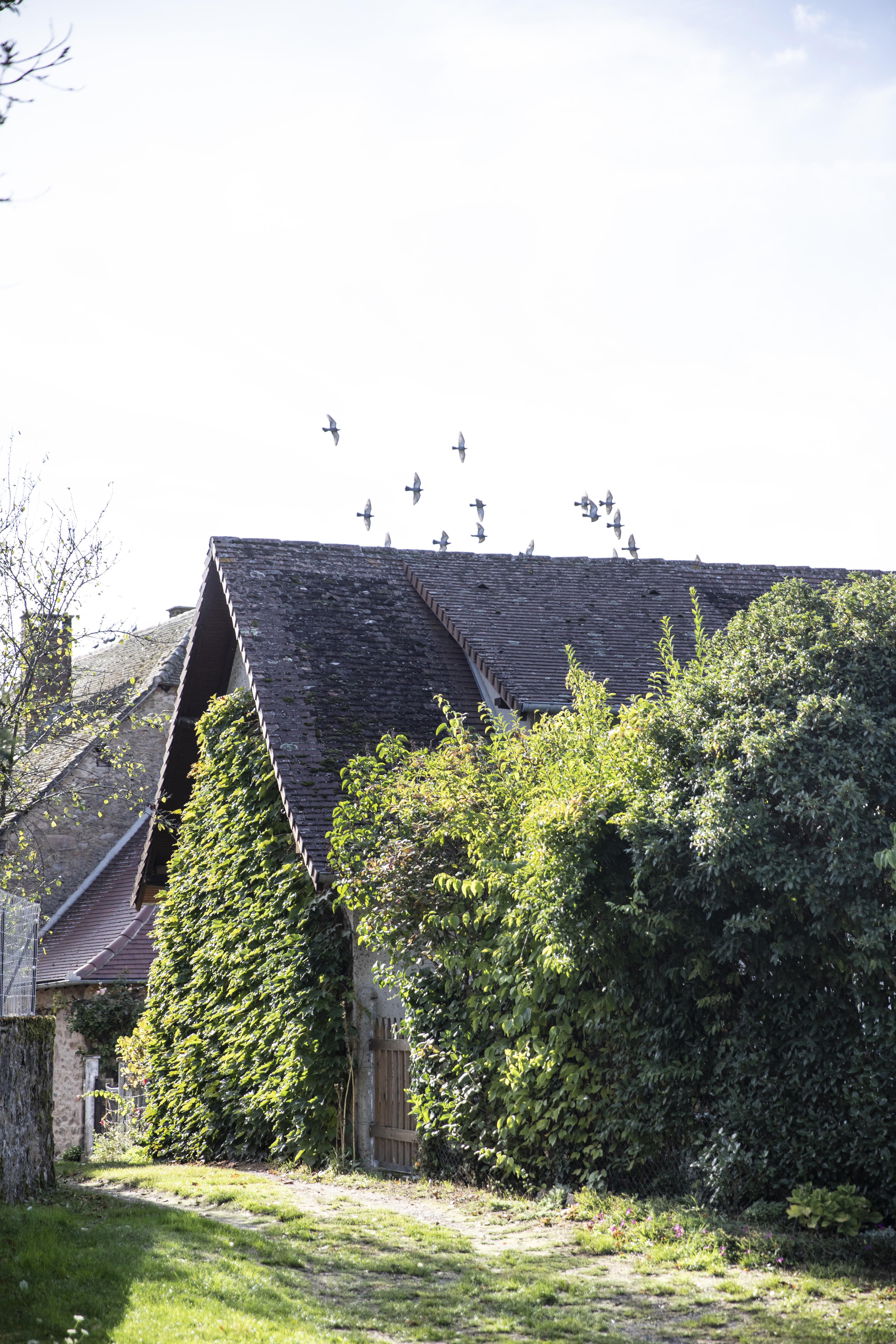 Visite commentée de Château-Chervix, Château-Chervix - photo 7
