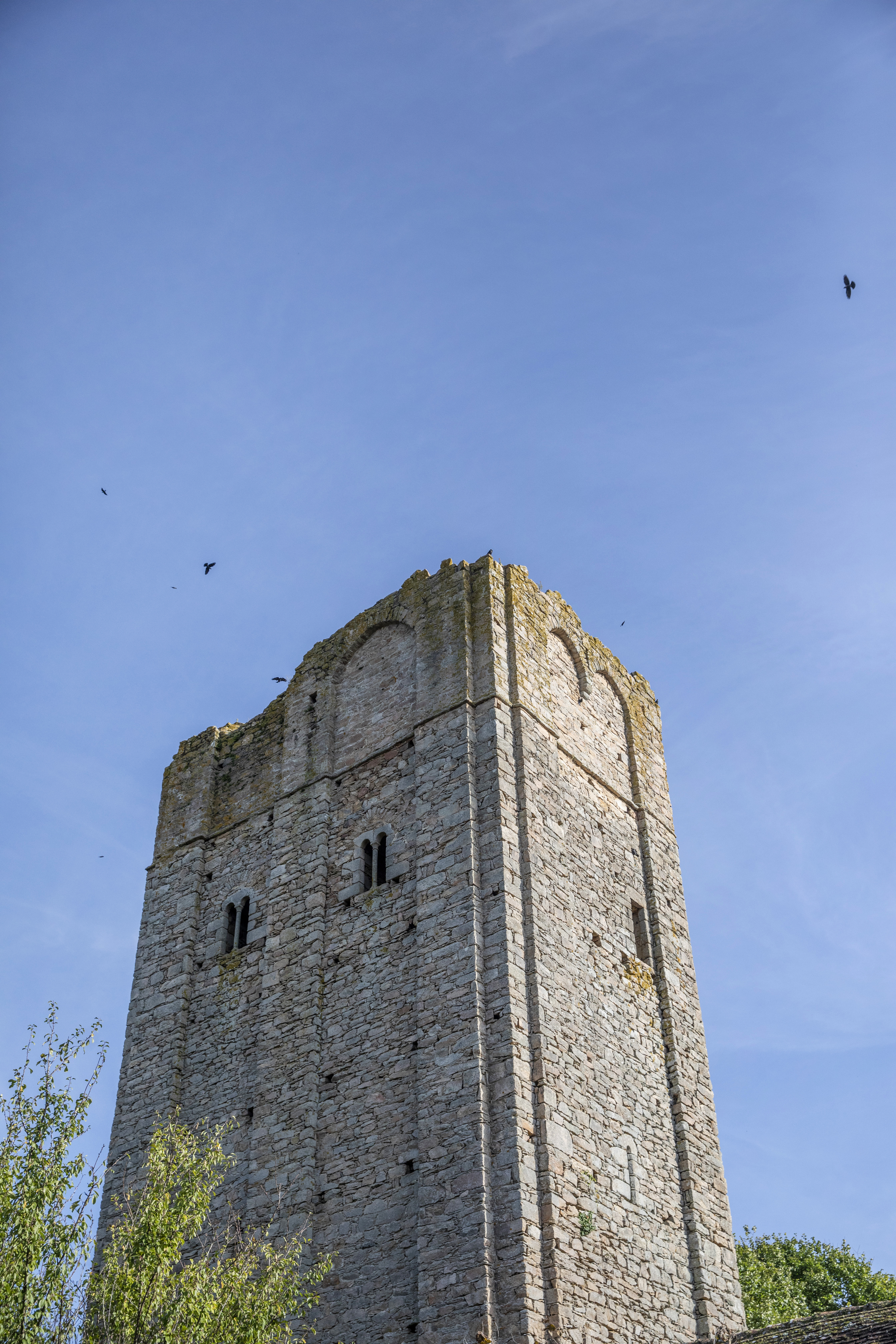 Visite commentée de Château-Chervix, Château-Chervix - photo 6