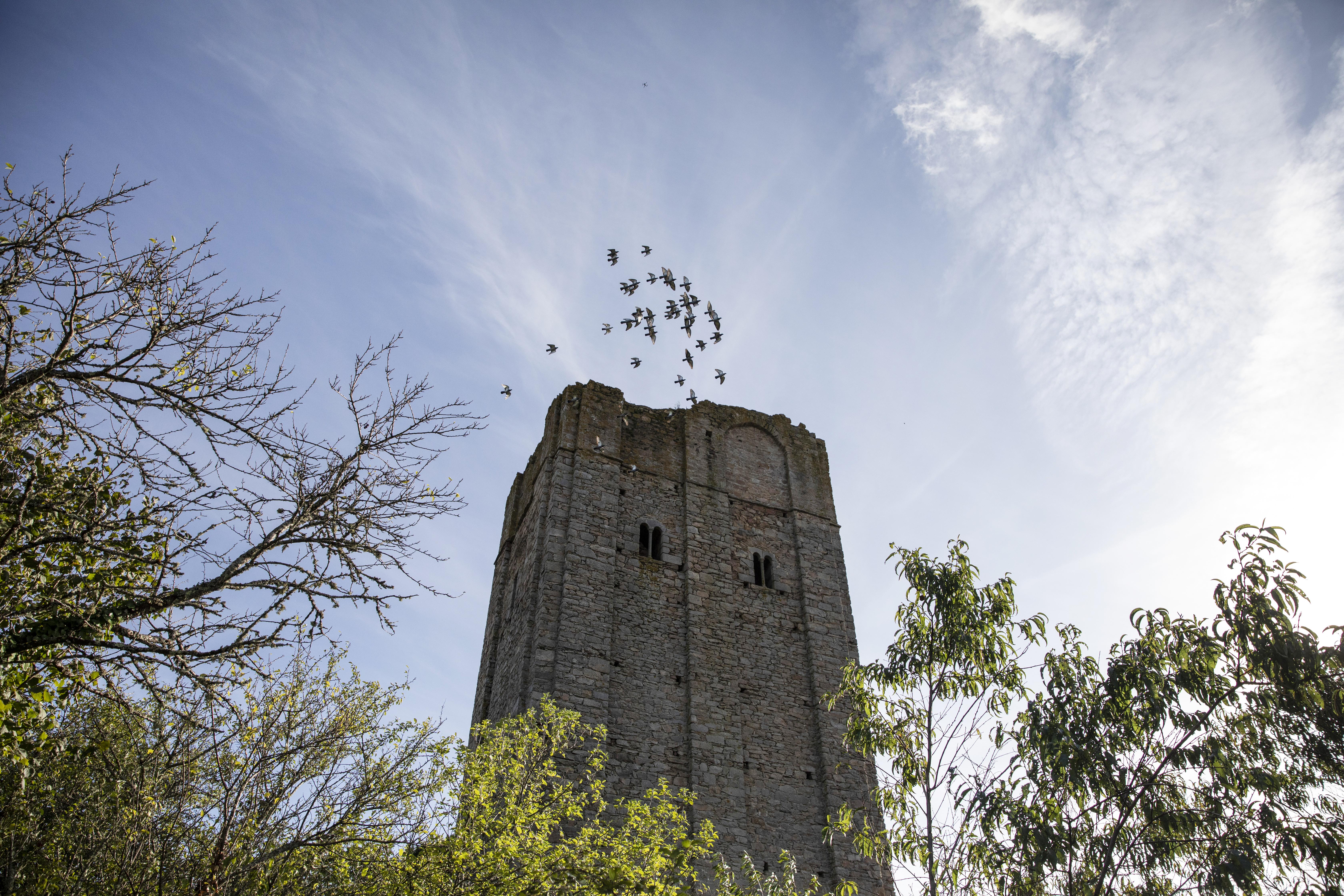 Visite commentée de Château-Chervix, Château-Chervix - photo 5