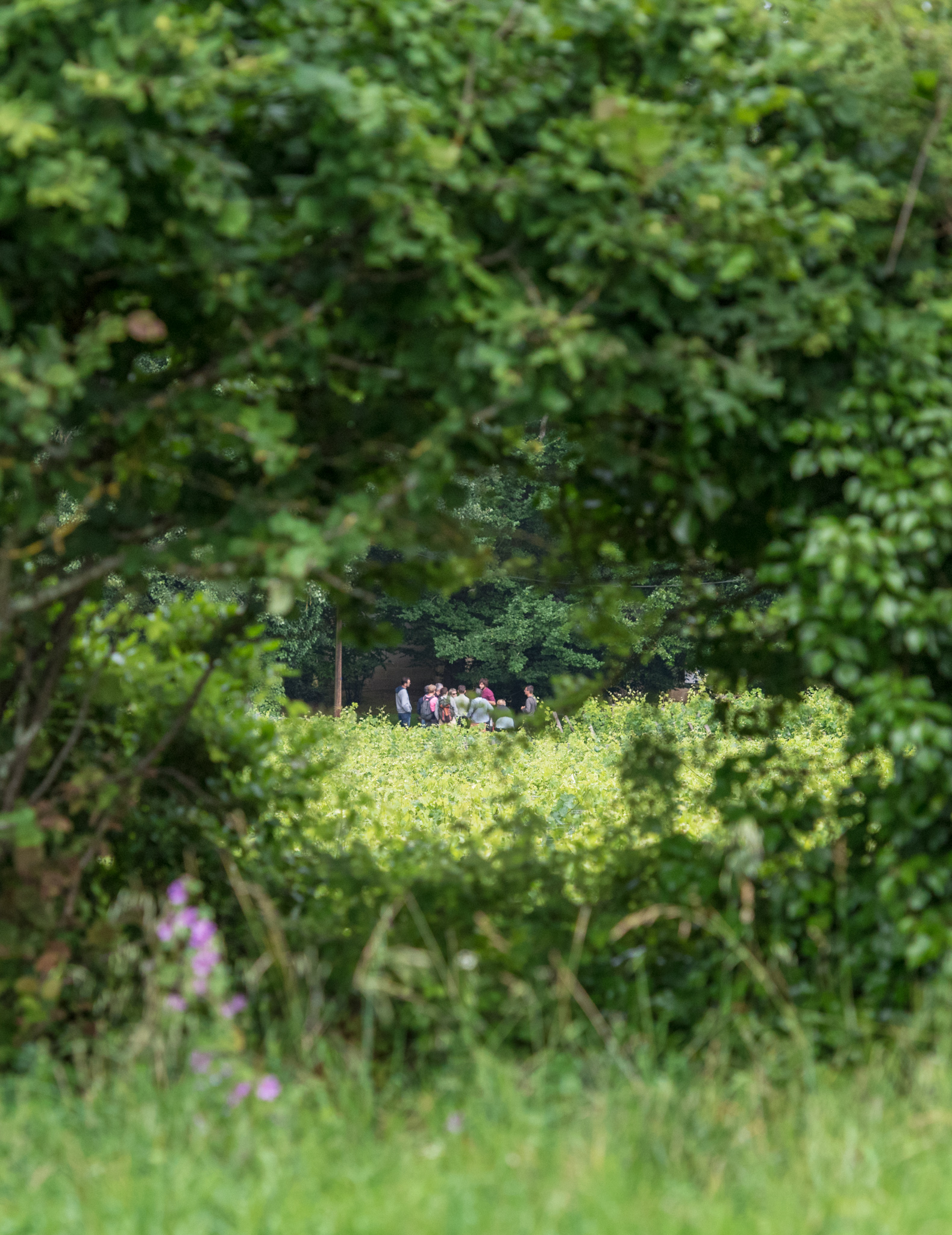 Journée en Charente — visuel événement