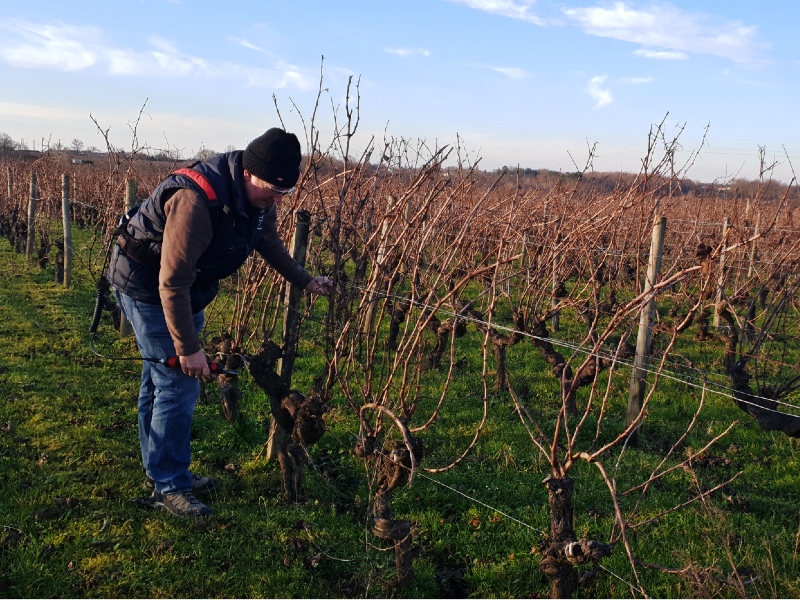 Château Farizeau - photo 4