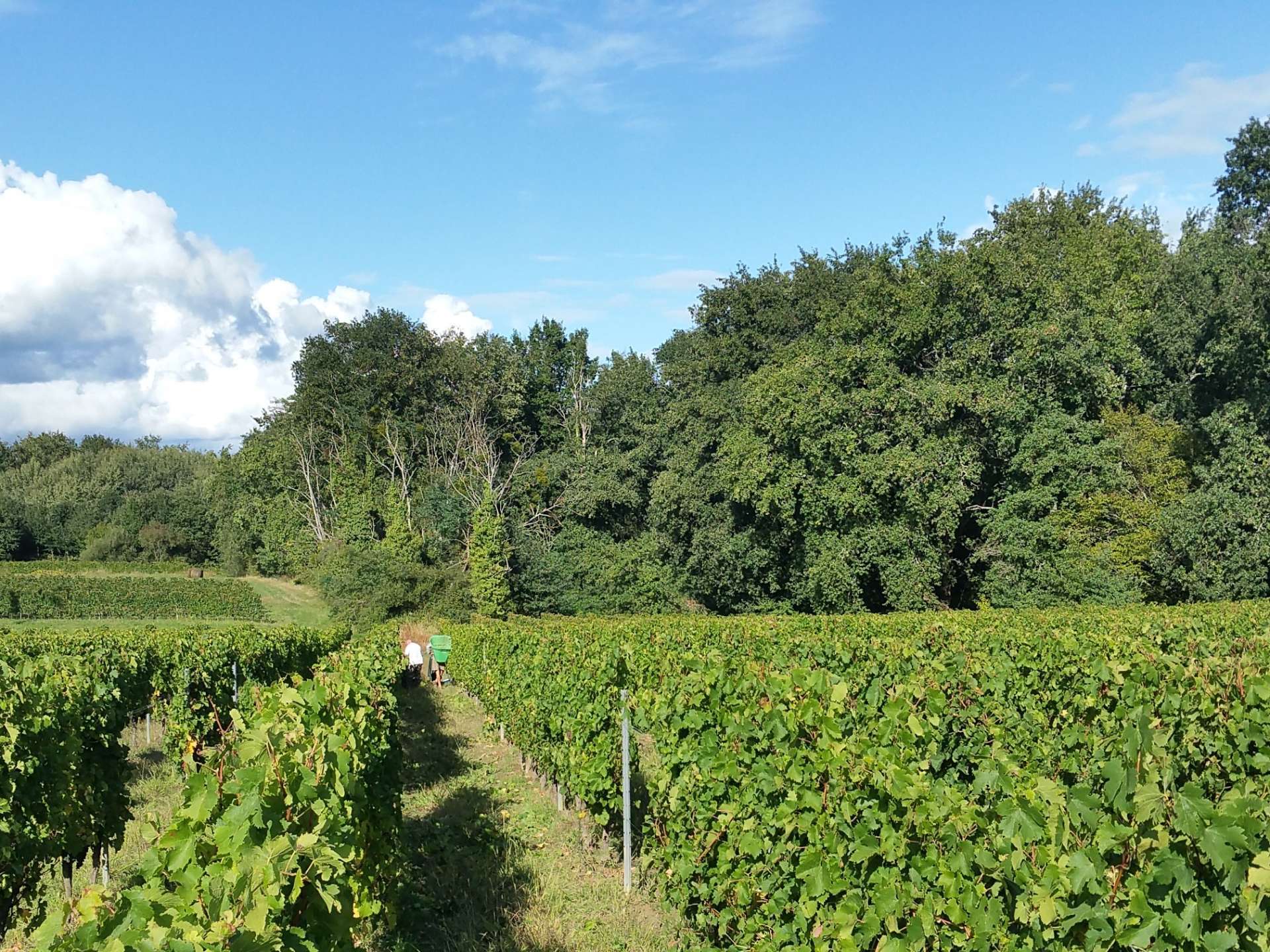 Château Farizeau