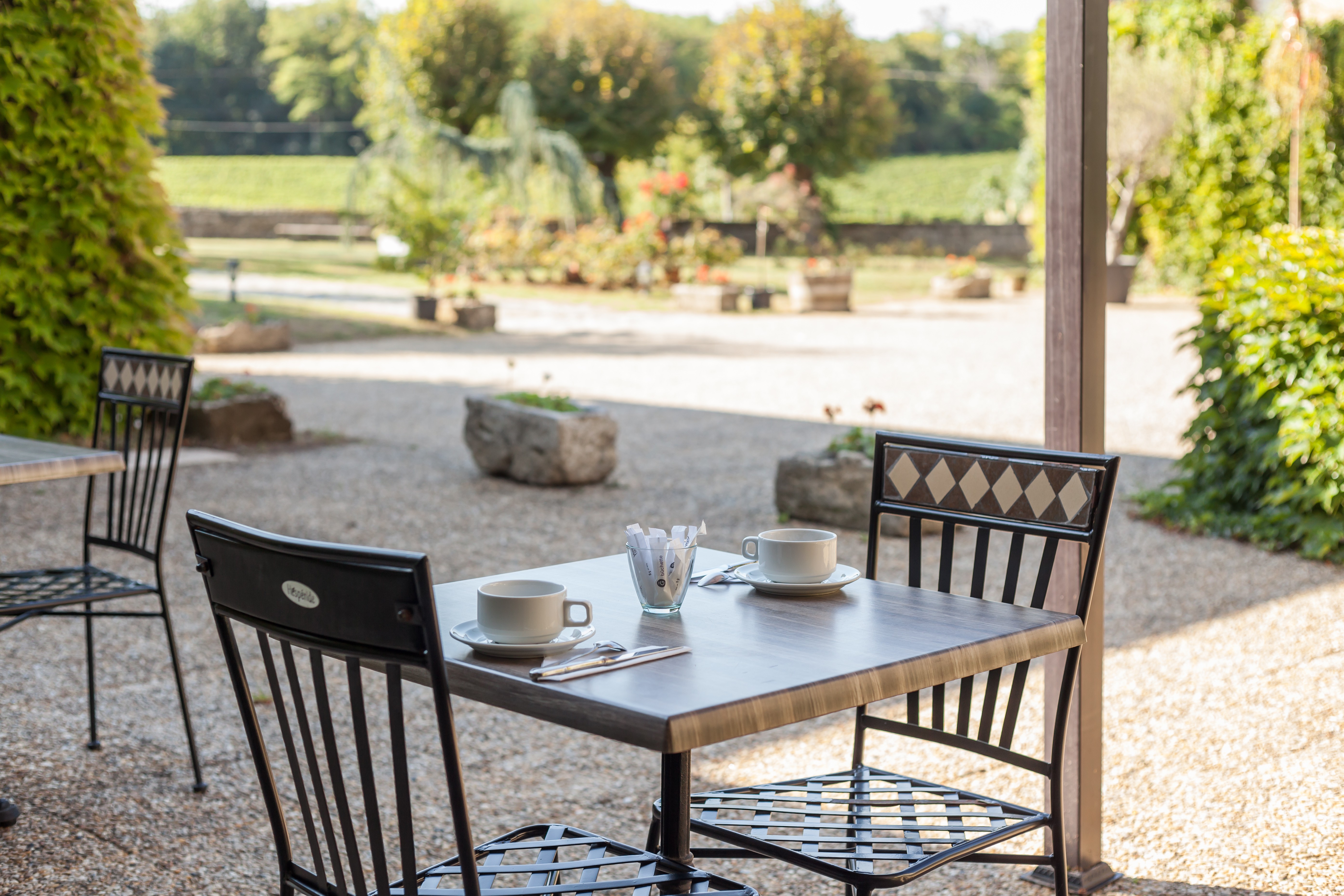 Château Fleur de Roques, Puisseguin - photo 10