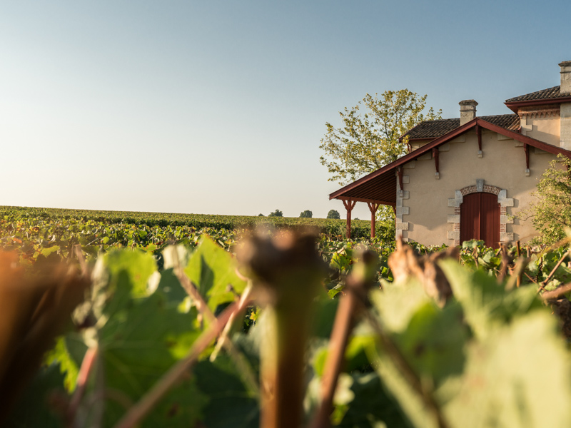La boucle des palombes