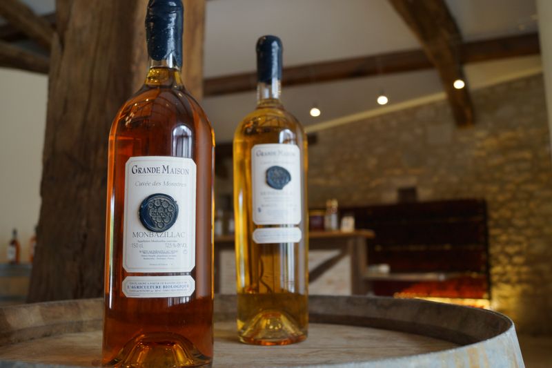 Château Grande Maison - photo 3