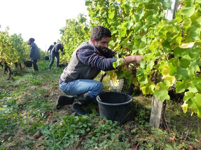 Château Haut Bernasse - photo 3