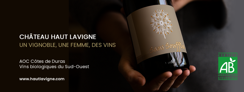 Château Haut Lavigne chambre au coeur des vignes, Saint-Astier - photo 3