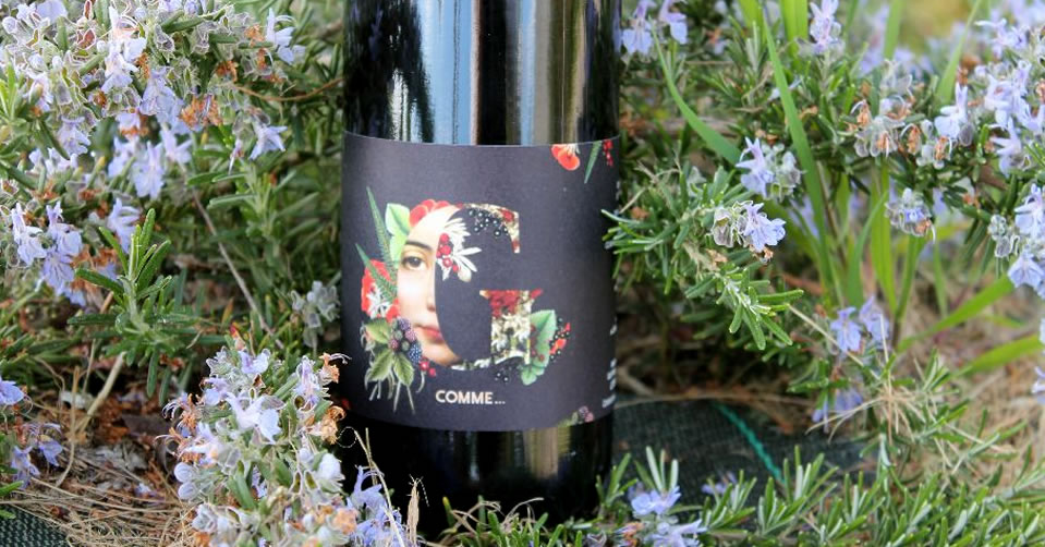 Château Haut Lavigne chambre au coeur des vignes, Saint-Astier - photo 4