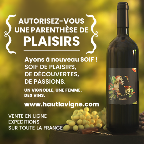 Château Haut Lavigne chambre au coeur des vignes, Saint-Astier - photo 6