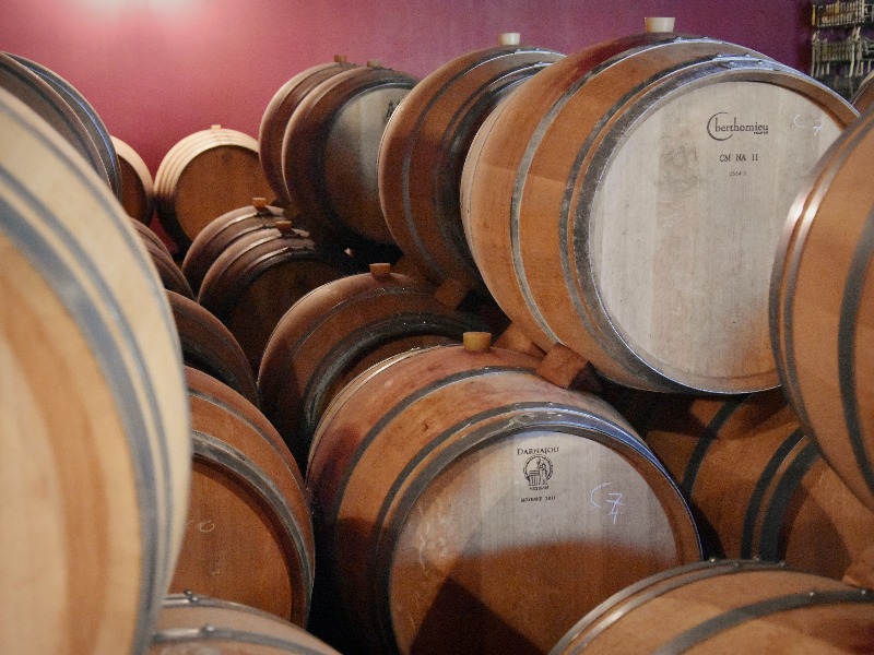 Château L'Insoumise