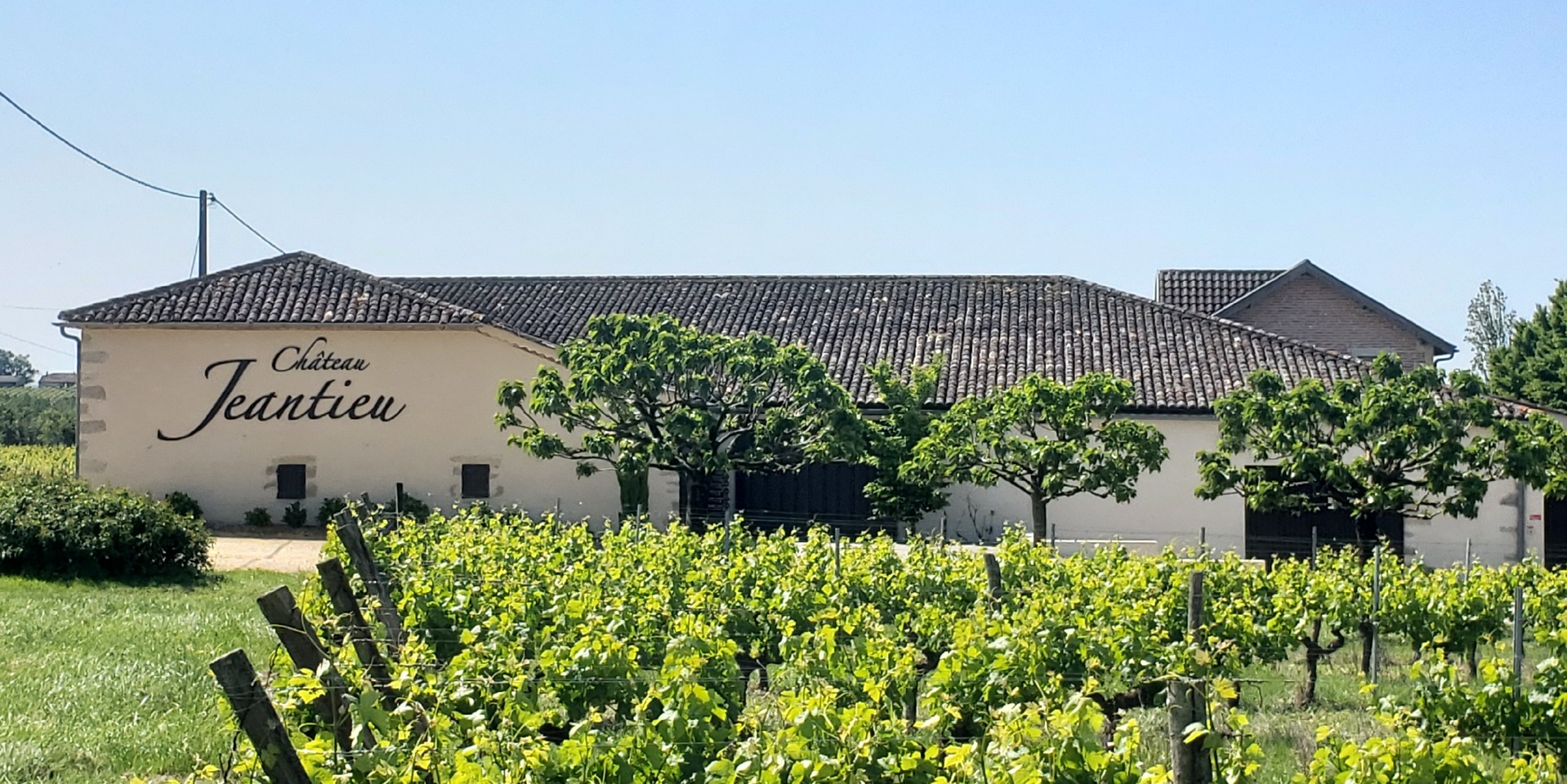 Château Jeantieu - EARL Metivitis