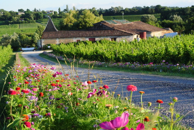 Château La Brande - "Un dimanche au Château en Fronsadais-Libournais" — visuel événement