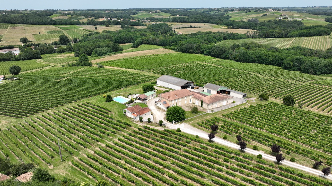 Château La Piolette - photo 4