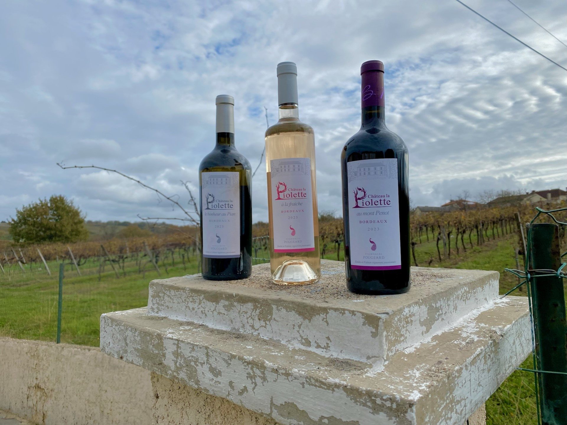 Château La Piolette