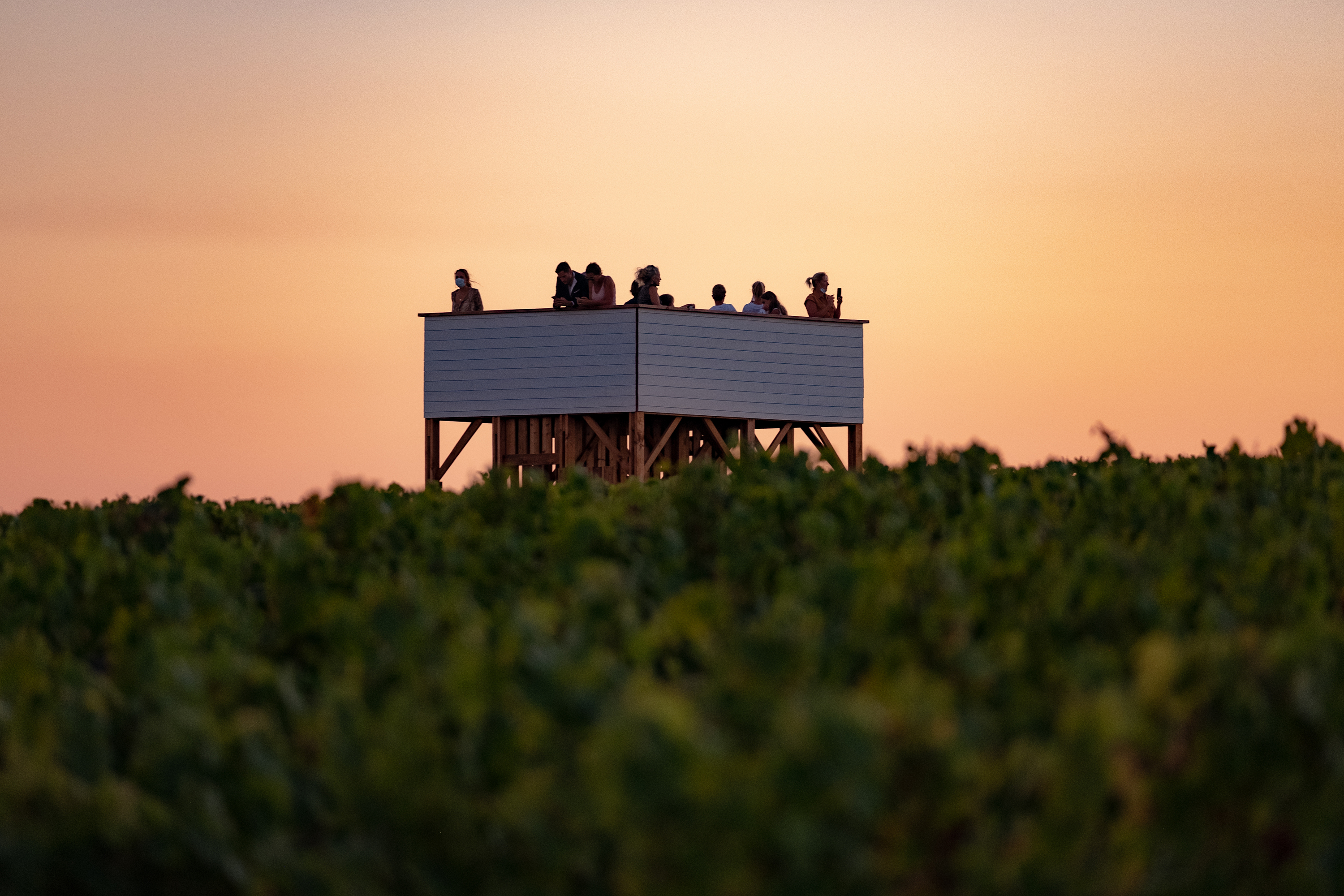 Château La Tour Blanche - photo 2