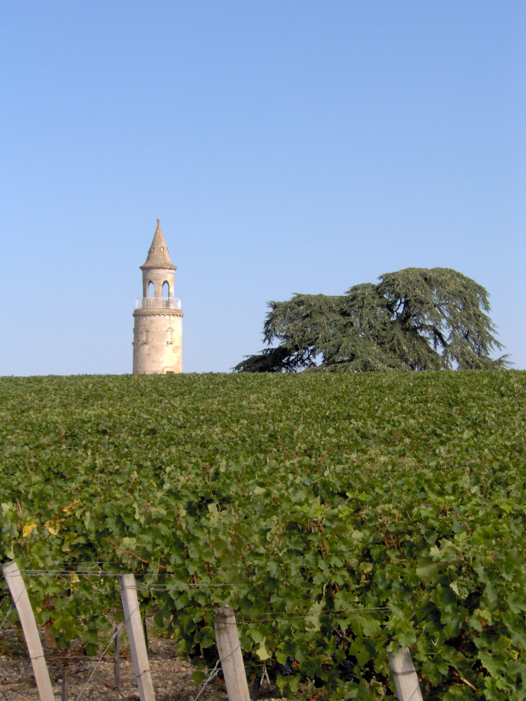 Château La Tour de By — photo 3