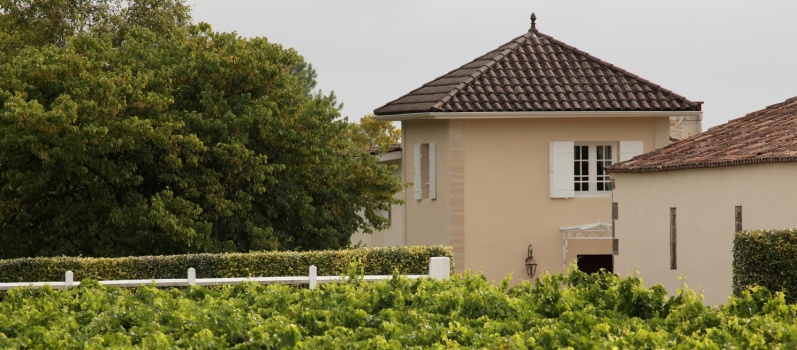 Château Labadie - photo 5