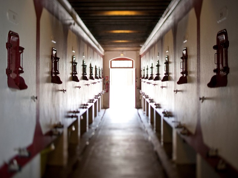 Château Lanessan - photo 5