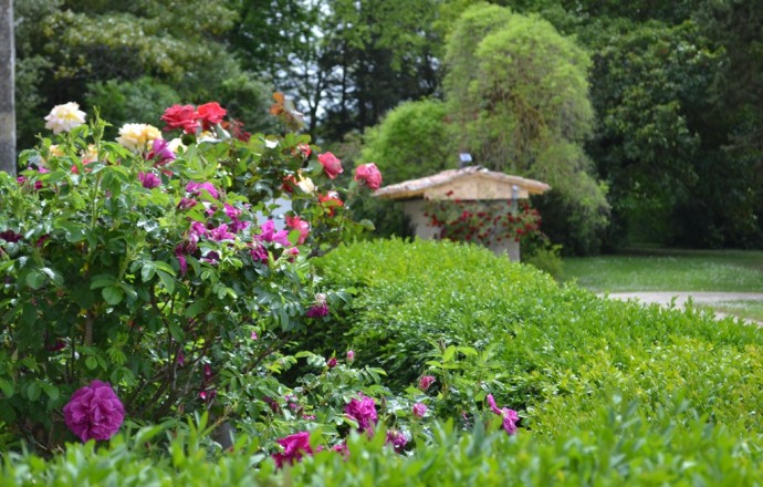 Chateau Lassagne, Moncrabeau - photo 4