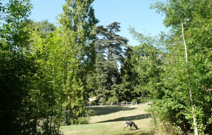 Chateau Lassagne, Moncrabeau - photo 3