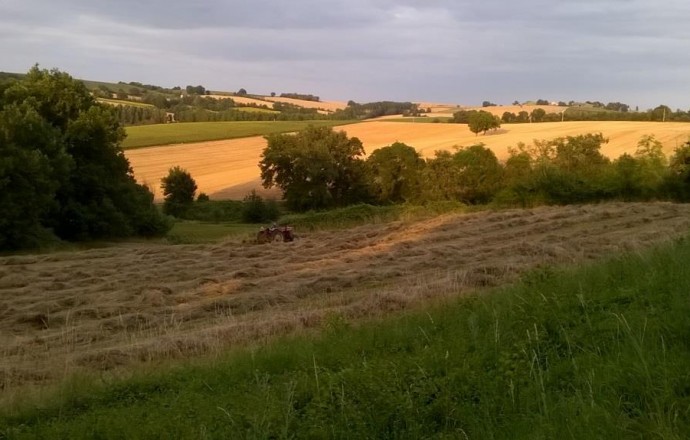 Chateau Lassagne, Moncrabeau - photo 19