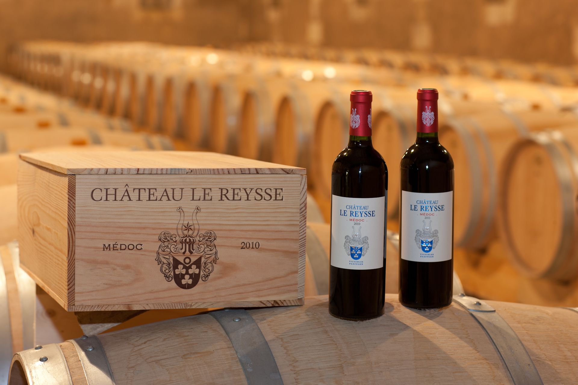 Château Lassus-Le Reysse - photo 4