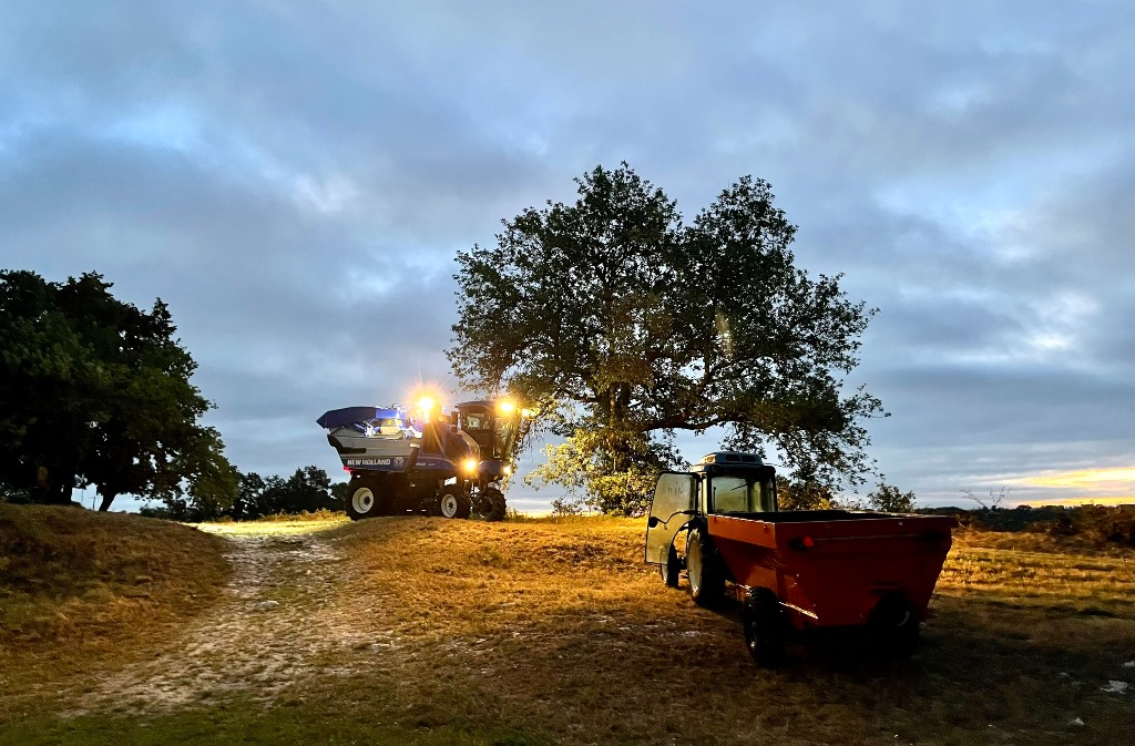 Château Lestevenie - photo 2