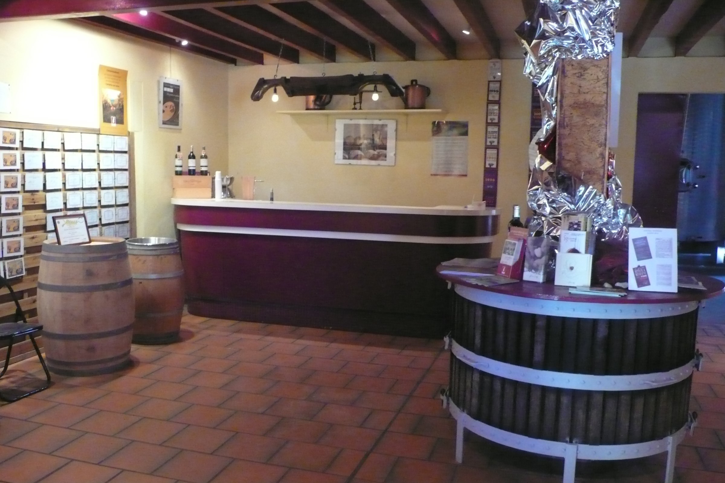 Château Magneau - photo 4