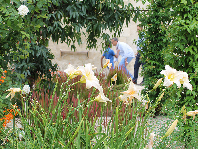 Château Marquis d'Alesme Becker