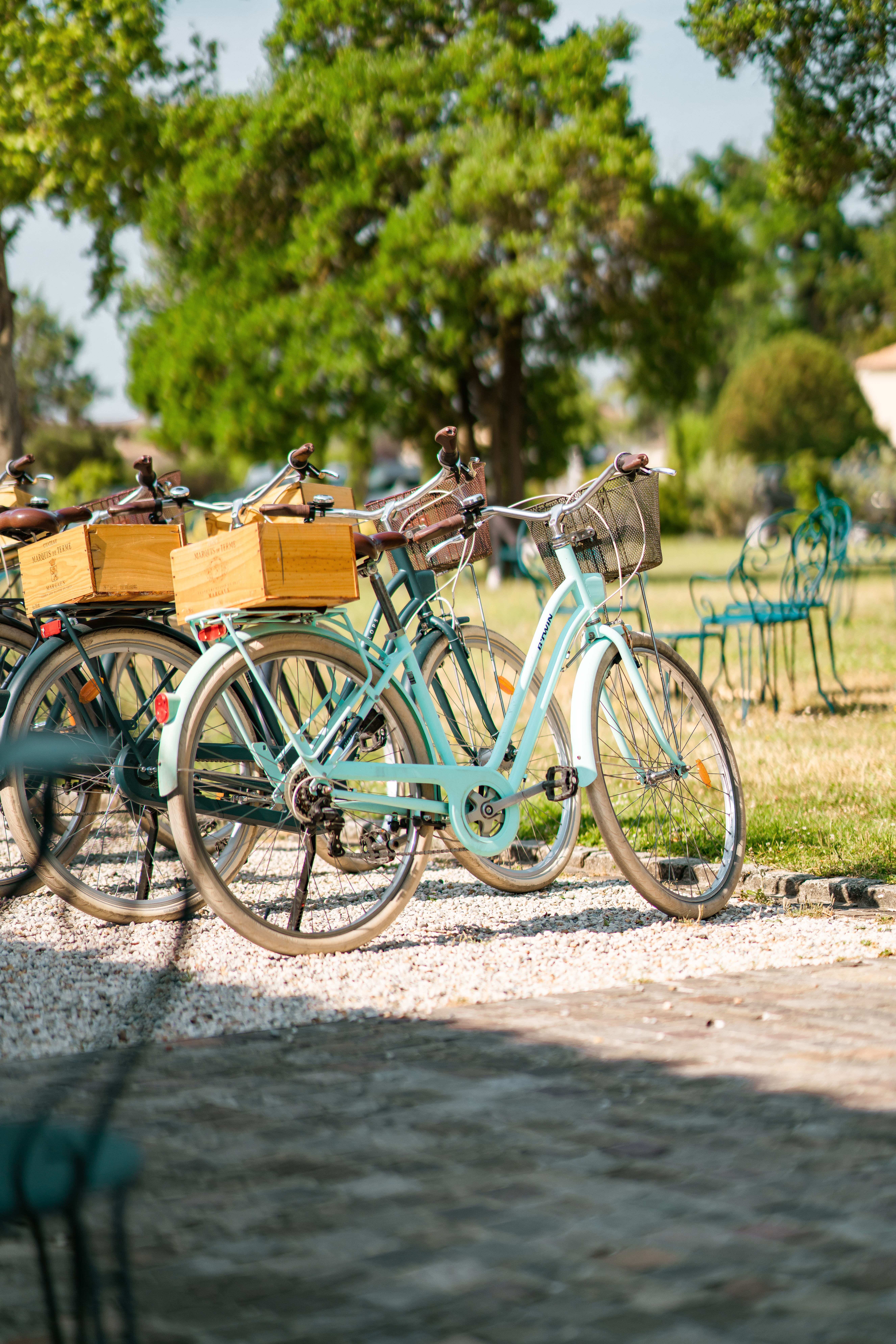 Château Marquis de Terme - photo 5