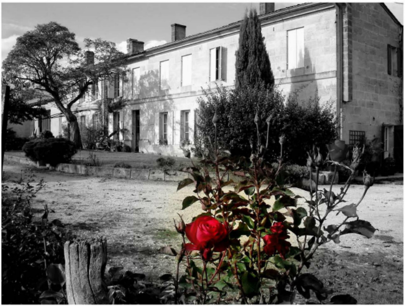 Château Martinat — photo 2