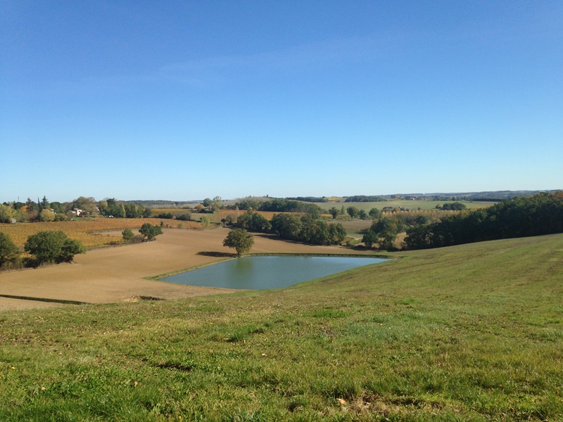 Château Mathias, Virazeil - photo 10