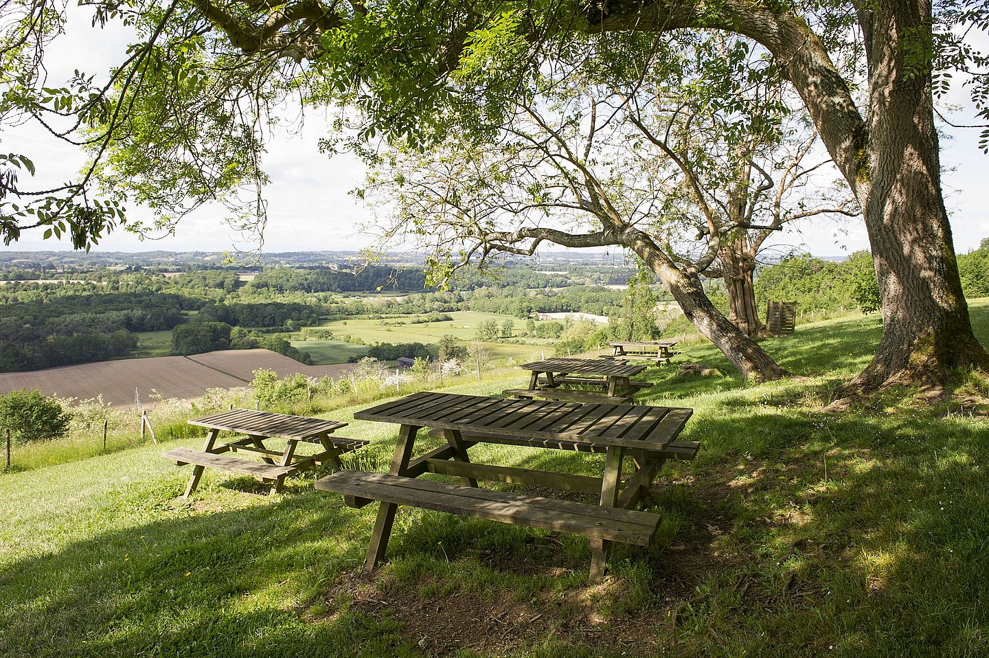 Morlanne : les Palombières à VTT - photo 5