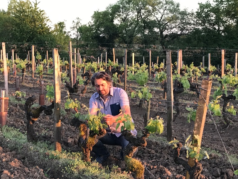 Château Le Moulin de la Marzelle - photo 3