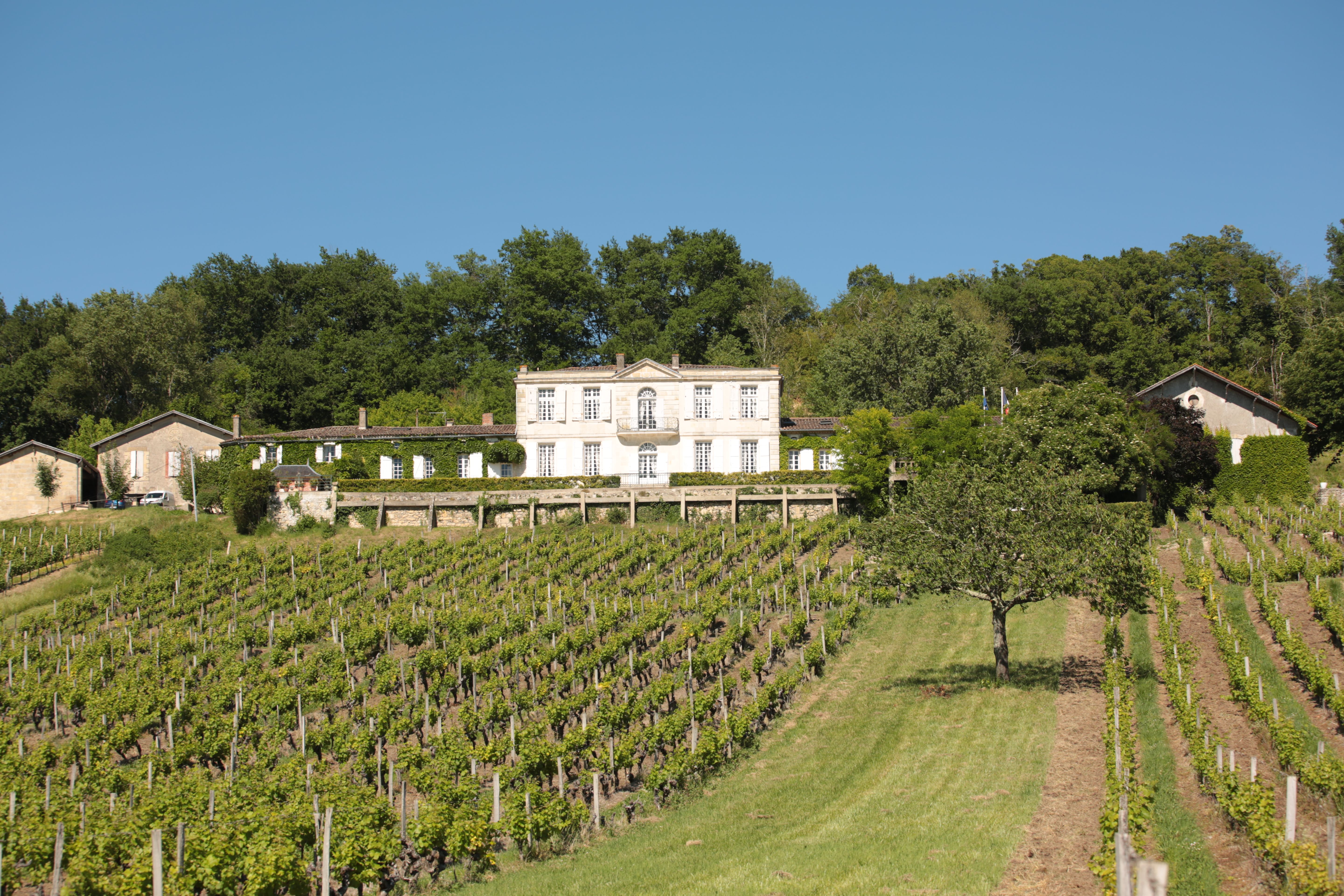 Château du Pavillon - photo 4