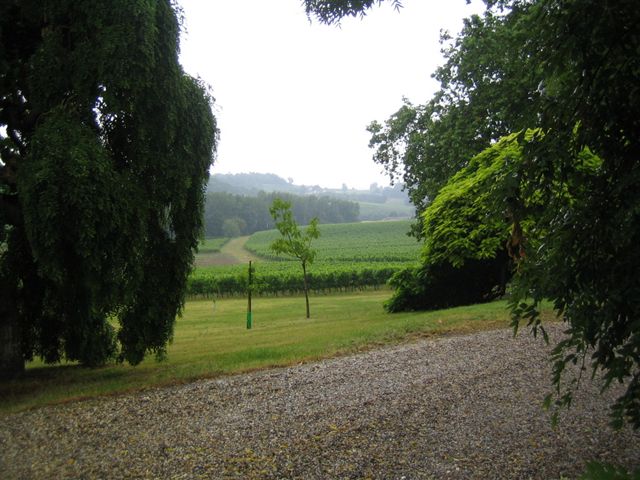 Château Perayne — photo 2