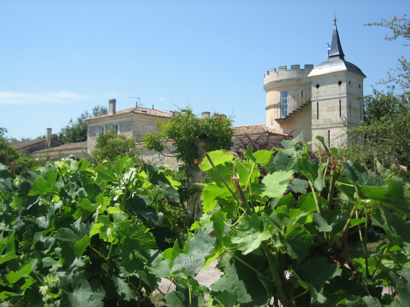 Château Peybonhomme-Les-Tours — photo 3