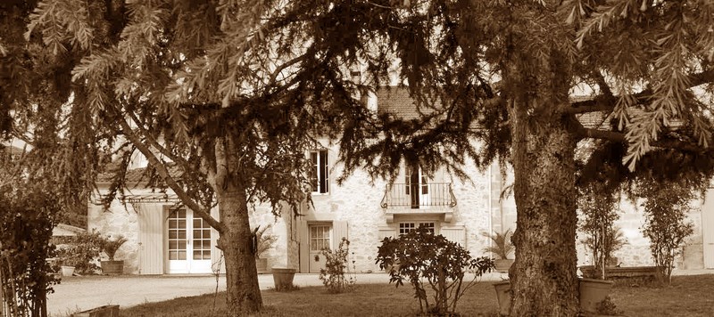 Château Pont de Brion — photo 3