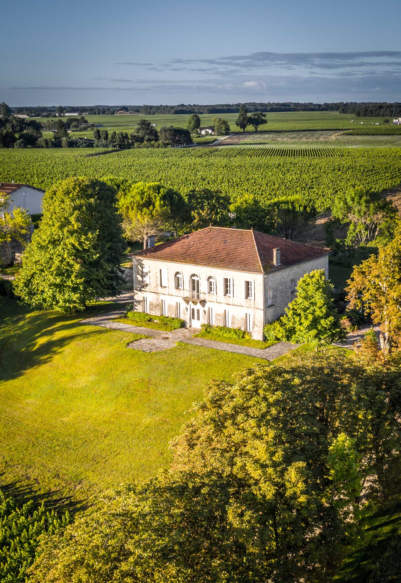 Château Reysson — photo 3