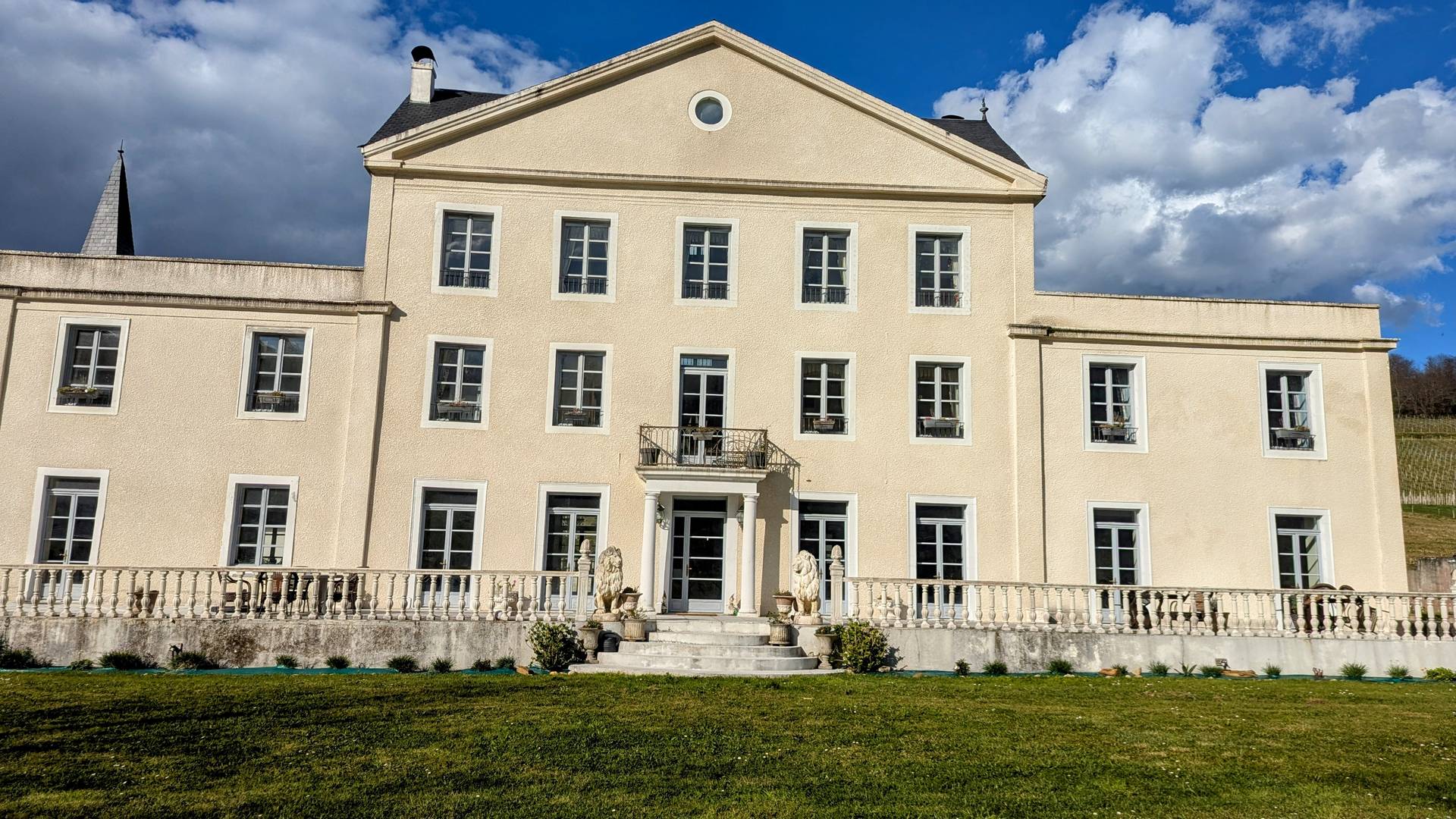 Château Roquehort, Monein - photo 8