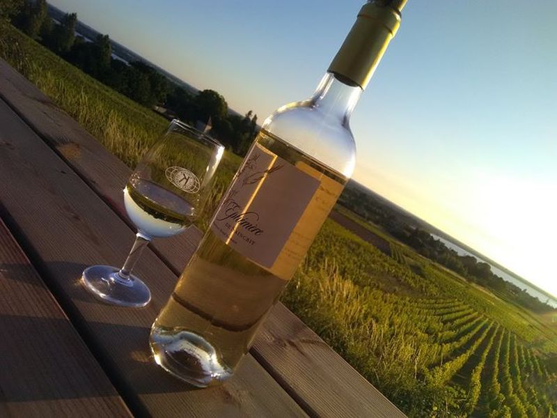 Soirée dégustation au Château Saincrit — visuel événement