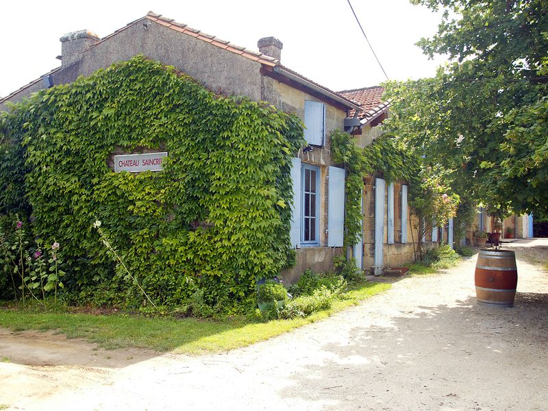 Château Saincrit - photo 3