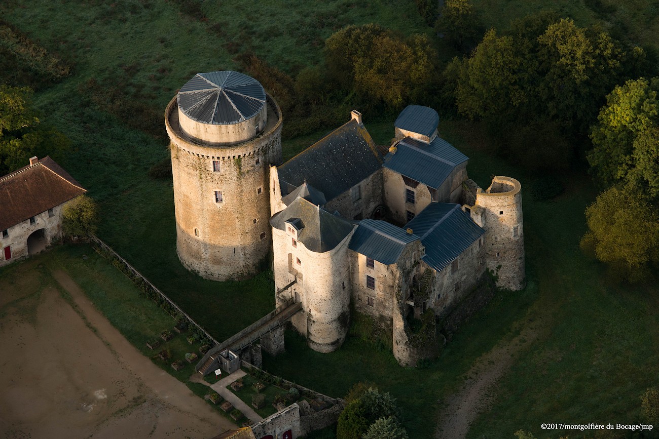 Château de Saint Mesmin, Saint-André-sur-Sèvre - photo 16