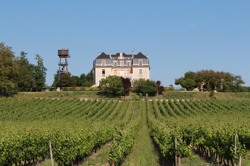 Château_Segonzac_st_genés 800x600©Blaye_Tourisme_-_1709