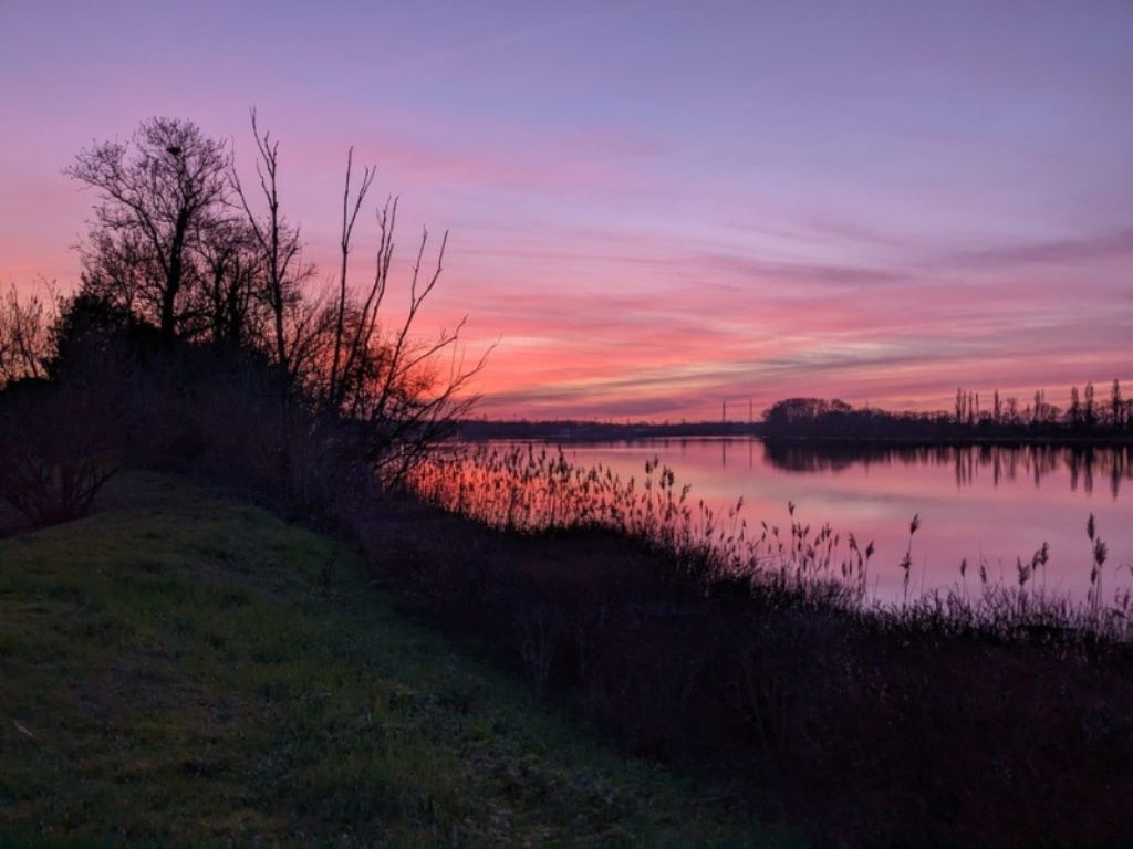 Château Shuette - photo 4