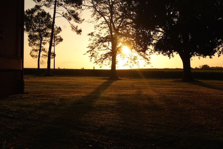 Château Sigalas Rabaud - photo 3