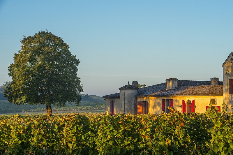 Château Sigalas Rabaud